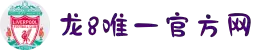 龙8-long8(国际)唯一官方网站
